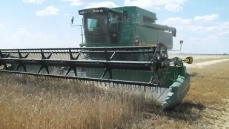 Костанайская область за 4 года экспортировала 8,5 млн тонн зерна