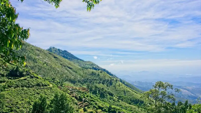 На Шри-Ланке объявили о режиме ЧС