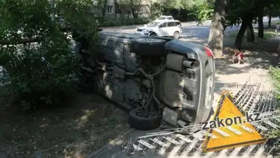 zakon.kz, фото - Новости Zakon.kz от 11.08.2018 16:51