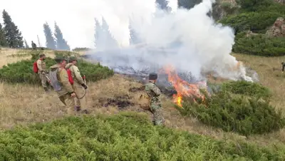 Пресс-служба ДЧС Алматинской области, фото - Новости Zakon.kz от 15.08.2019 13:24