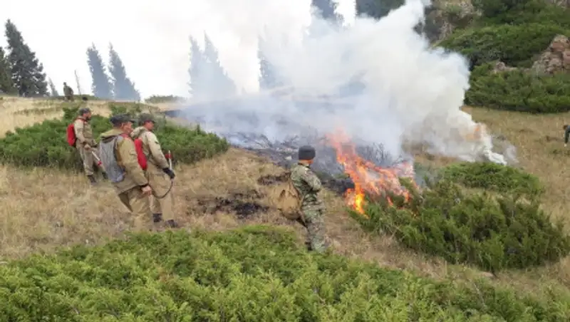 Степной пожар, бушевавший 12 дней в Алматинской области, ликвидирован