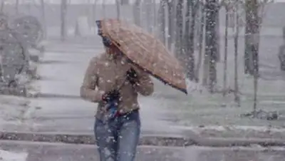 Zakon.kz, фото - Новости Zakon.kz от 12.03.2017 12:00