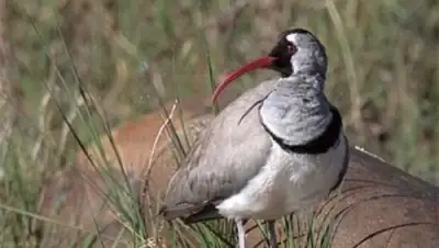 Zakon.kz, фото - Новости Zakon.kz от 04.02.2015 16:55