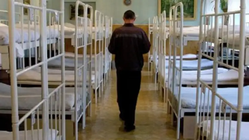 В Карагандинской области амнистировали осужденного по делу о сибирской язве ветеринара