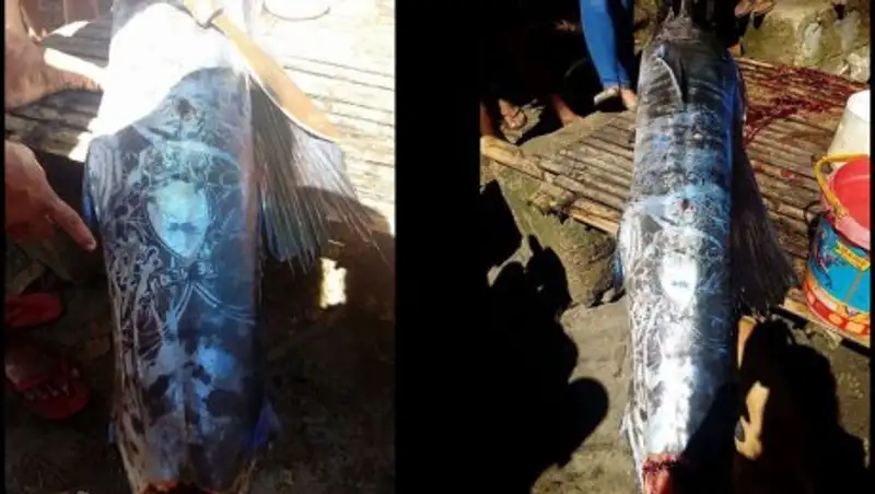 На Филиппинах поймали рыбу с татуировками