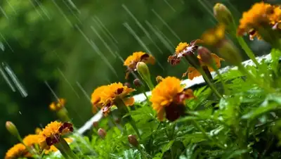 Zakon.kz, фото - Новости Zakon.kz от 09.06.2015 23:45