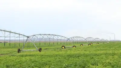 В Карагандинской области ежегодно идет прирост орошаемых земель, фото - Новости Zakon.kz от 29.08.2023 15:12