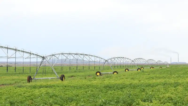 В Карагандинской области ежегодно идет прирост орошаемых земель