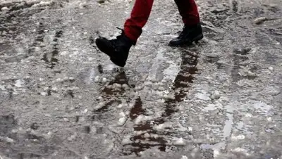 Zakon.kz, фото - Новости Zakon.kz от 30.03.2017 12:00