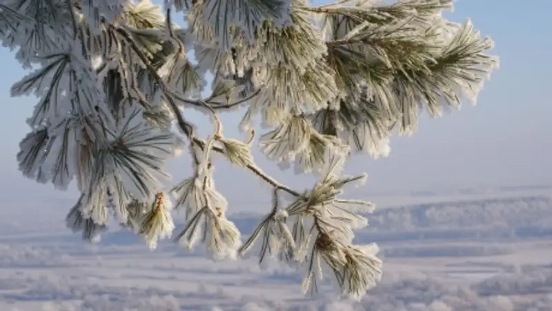 6 декабря на большей части Казахстана будет отмечаться неустойчивый характер погоды