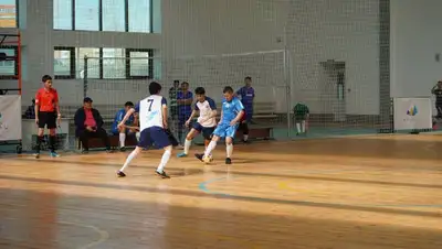 Казахстан спортивные секции госфинансирование министр комментарий