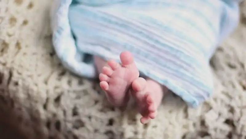 Watch Plumber Sex Online