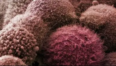 Zakon.kz, фото - Новости Zakon.kz от 04.08.2015 02:55