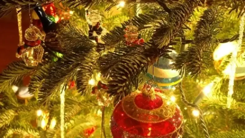 Трехметровая новогодняя елка сгорела в частном доме в СКО