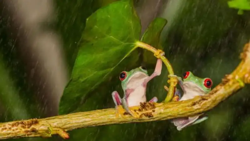 Сильные дожди, град и понижение температуры прогнозируют казахстанские синоптики 