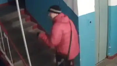 Скриншот с видео, фото - Новости Zakon.kz от 04.02.2018 22:22