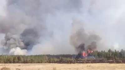 Zakon.kz, фото - Новости Zakon.kz от 20.09.2017 19:16