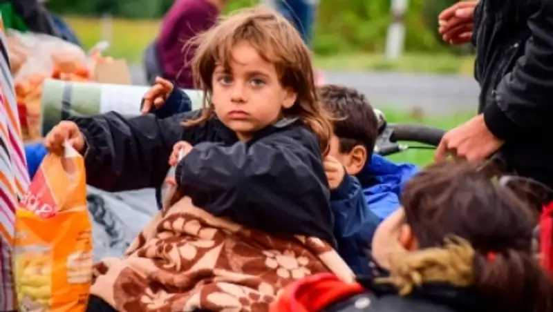 Жители Канады оплатили доставку в свою страну около 10 тысяч беженцев из Сирии