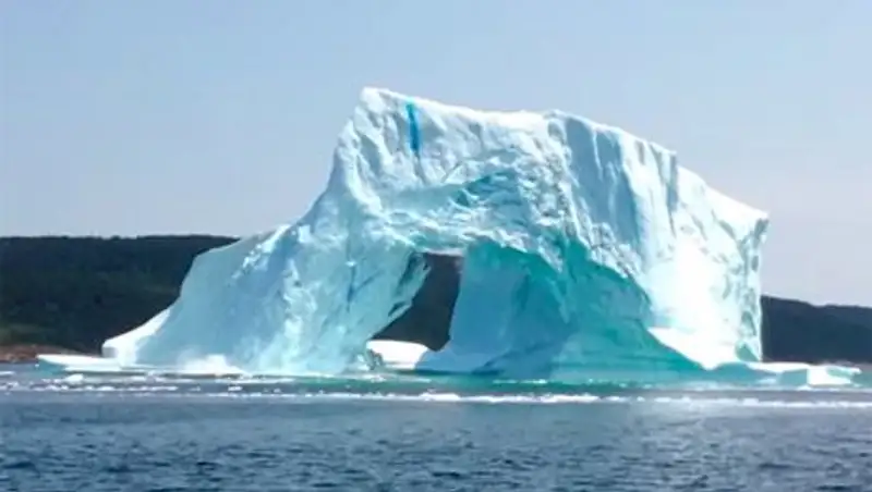 Разрушение айсберга потрясло Интернет