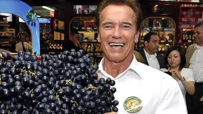 Zakon.kz, фото - Новости Zakon.kz от 11.12.2015 03:02