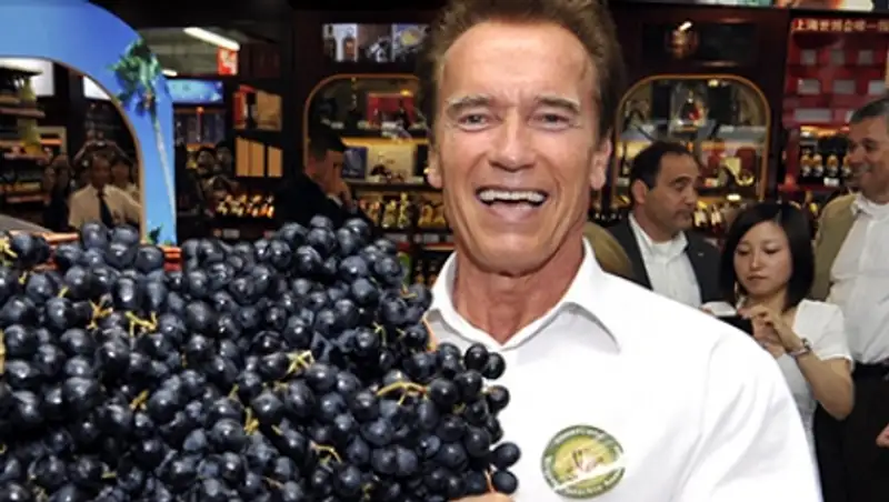 Шварценеггер призвал есть меньше мяса