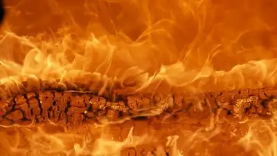 pixabay.com, фото - Новости Zakon.kz от 26.02.2019 21:57