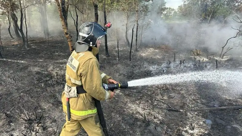 Крупный пожар в заповеднике Костанайской области потушили, фото - Новости Zakon.kz от 23.08.2023 12:33