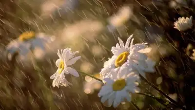 Zakon.kz, фото - Новости Zakon.kz от 19.06.2017 12:00