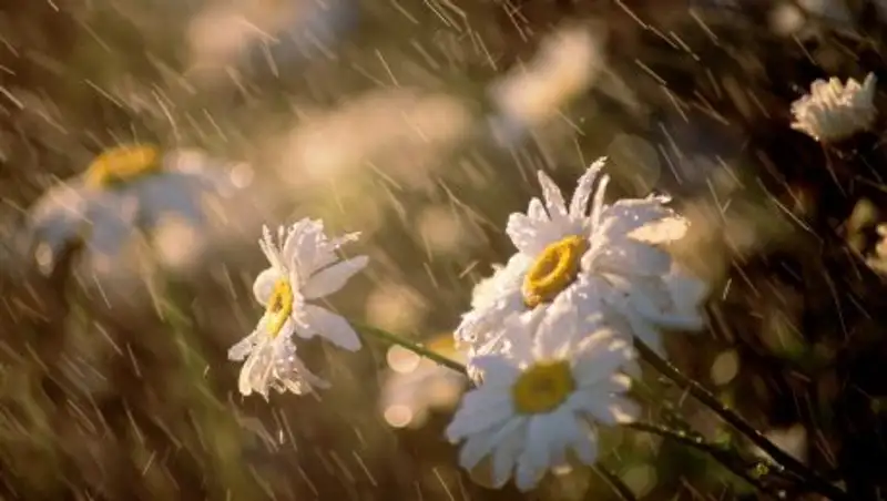 В понедельник в Казахстане сохранится неустойчивая погода