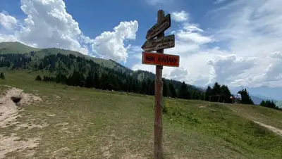 zakon.kz, фото - Новости Zakon.kz от 22.07.2020 17:04