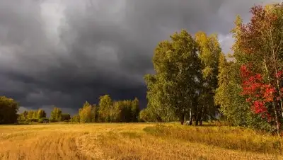 mypiter.kz, фото - Новости Zakon.kz от 29.08.2018 10:56