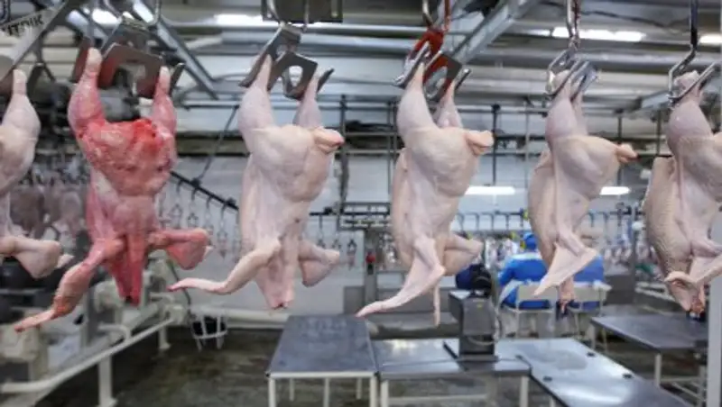 Кыргызстан снял запрет на ввоз птицы из Казахстана