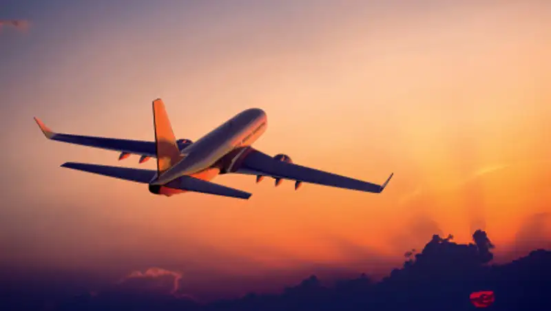 Казахстанцев вернут из Тбилиси в Алматы самолетом 20 марта