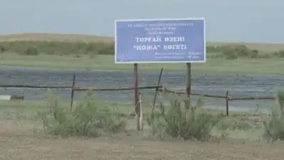 Zakon.kz, фото - Новости Zakon.kz от 06.06.2017 16:30