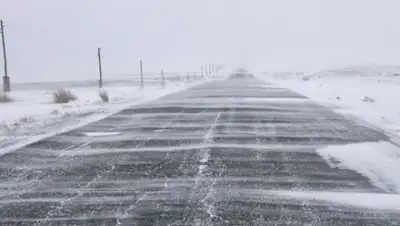 Zakon.kz, фото - Новости Zakon.kz от 14.03.2016 14:53