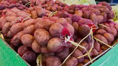 astana.gov.kz, фото - Новости Zakon.kz от 14.06.2021 20:14