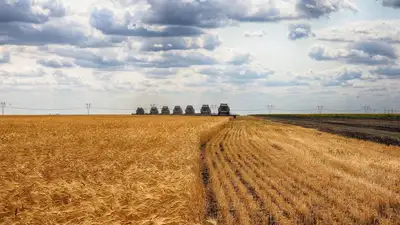 Аграриям Казахстана до сих пор не выплатили почти 32 млрд тенге субсидий