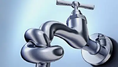 riapo.ru, фото - Новости Zakon.kz от 11.02.2020 13:30