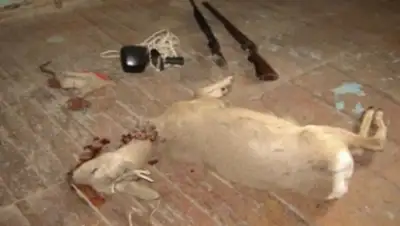 Zakon.kz, фото - Новости Zakon.kz от 25.11.2014 17:17