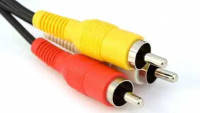 Pixabay, фото - Новости Zakon.kz от 02.04.2020 10:48