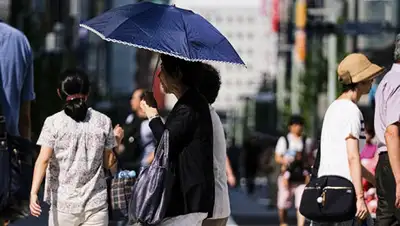 tvzvezda.ru, фото - Новости Zakon.kz от 20.08.2019 08:23