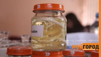 Zakon.kz, фото - Новости Zakon.kz от 18.08.2015 22:32