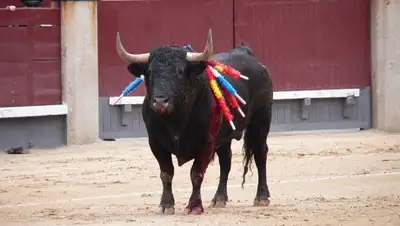 Zakon.kz, фото - Новости Zakon.kz от 21.10.2015 17:12