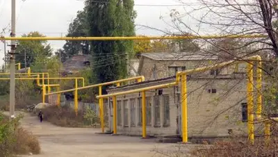 TrubaMaster, фото - Новости Zakon.kz от 09.07.2018 23:16