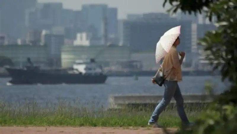 В Японии от теплового удара погибли шестеро