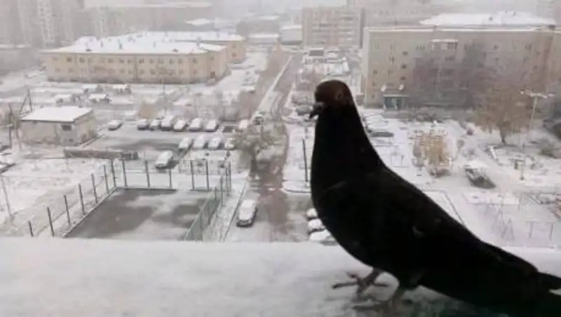 Жителям Акмолинской области предписали не выходить из дома после 21 часа