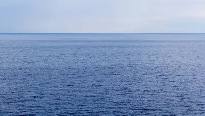 pixabay.com, фото - Новости Zakon.kz от 05.04.2019 10:18