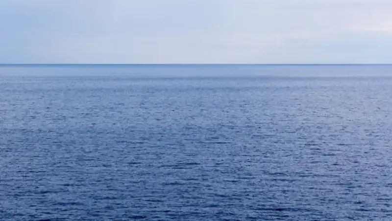 Браконьеры пытались нанести ущерб природе в Каспийском море