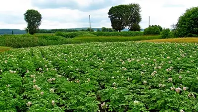 Zakon.kz, фото - Новости Zakon.kz от 13.05.2016 20:13