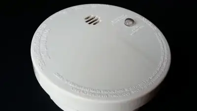 pixabay.com, фото - Новости Zakon.kz от 08.02.2019 22:17